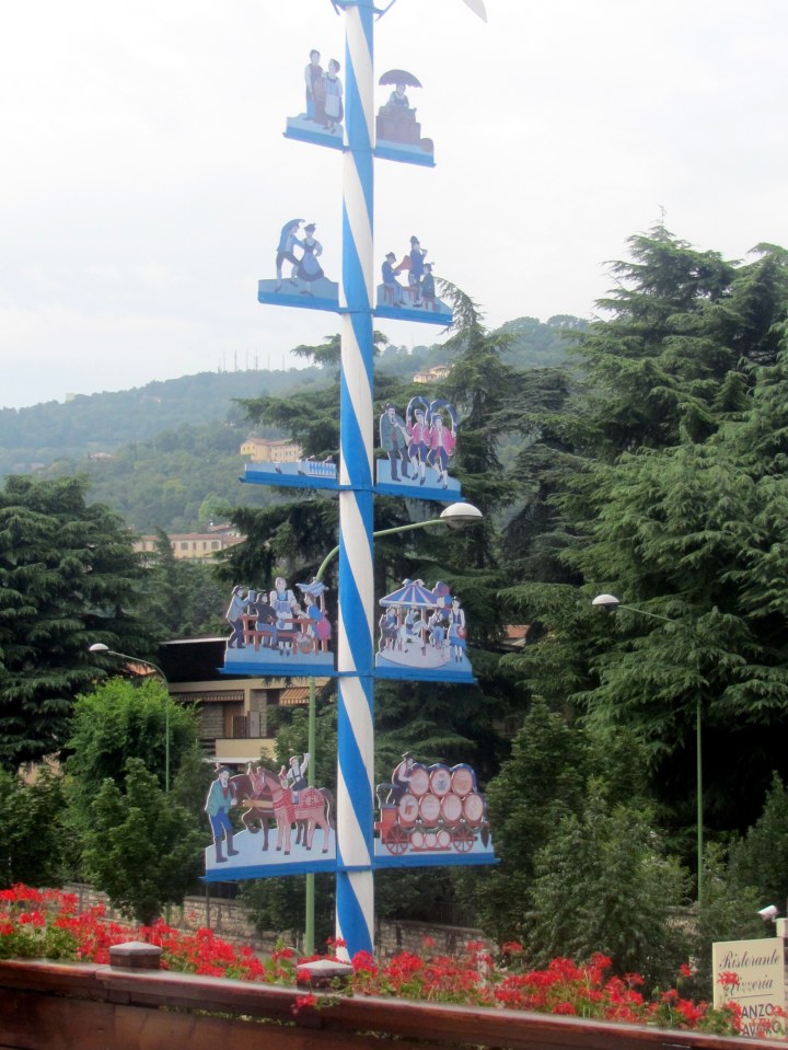 Particolare mai baum dalla terraza